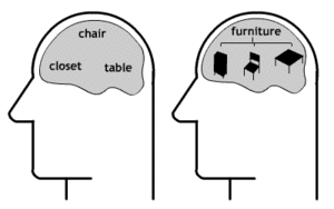 Znázornění reprezentace v mozku