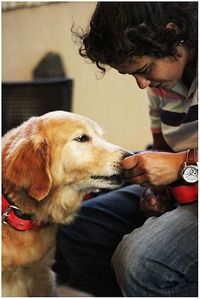 401px-Dog Owner Relationship commons wiki.jpg