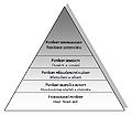 Maslow-pyramida.jpg